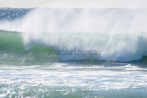 Warriewood_210412_090134_0088