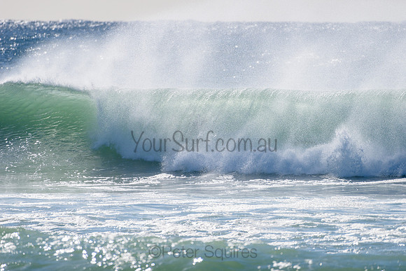 Warriewood_210412_090134_0089