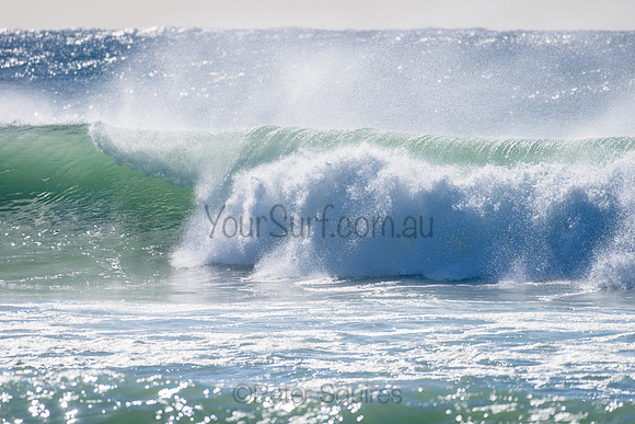 Warriewood_210412_090135_0091