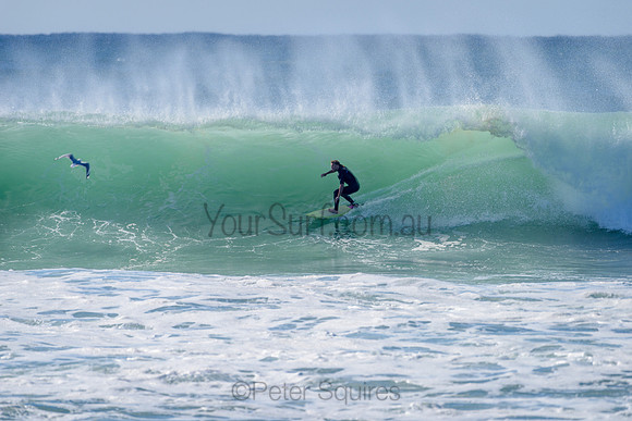 Warriewood_210412_090843_0121