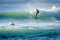 Palm_Beach_210413_072302_0015
