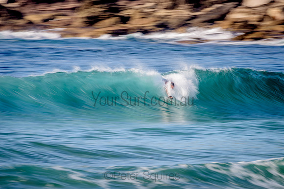 Avalon_210416_082317_0209
