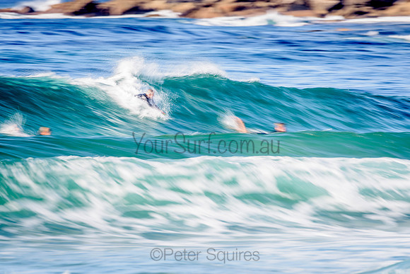 Avalon_210416_082428_0218