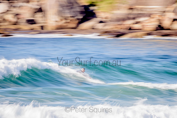 Avalon_210416_082433_0222