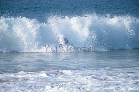 Nth_Narrabeen_210418_082448_0562