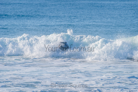 Nth_Narrabeen_210419_080133_0567