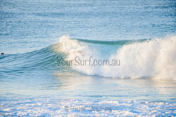 Nth_Narrabeen_210420_065925_0287