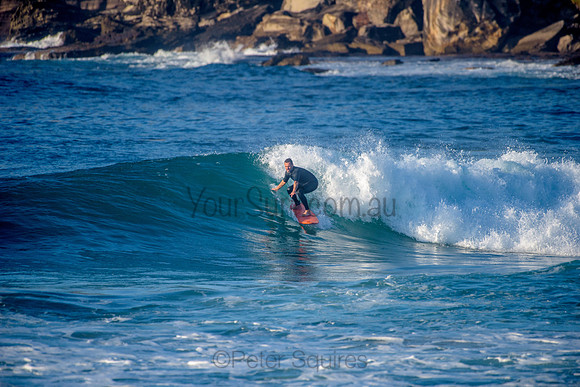 Avalon_210428_073759_0261