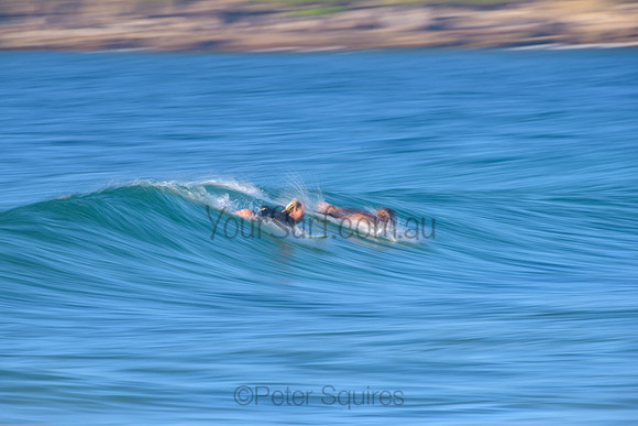 Whale_Beach_210503_080528_0177