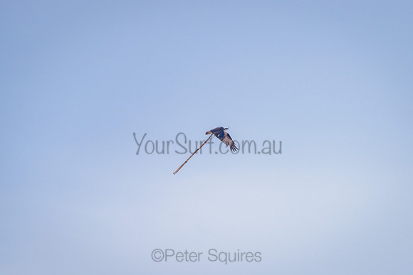 Whale_Beach_210504_073632_0122