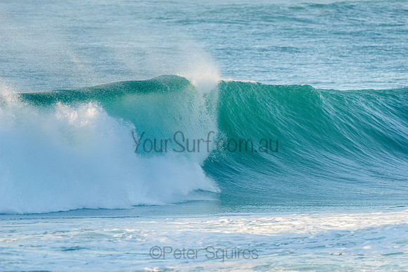 Avalon_210508_073021_0098