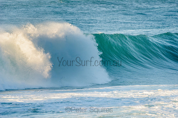 Avalon_210508_073021_0099