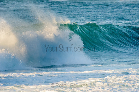 Avalon_210508_073023_0100