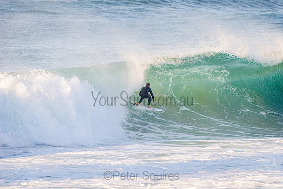 Avalon_210508_073119_0111