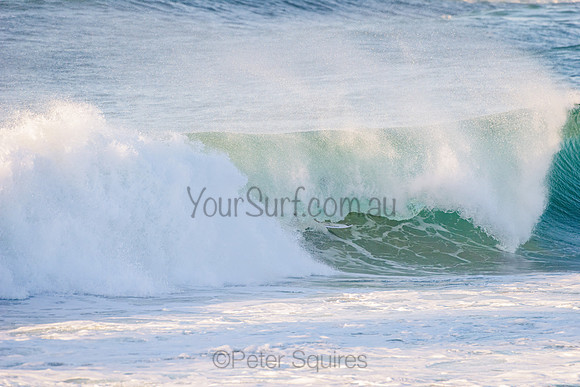 Avalon_210508_073119_0112