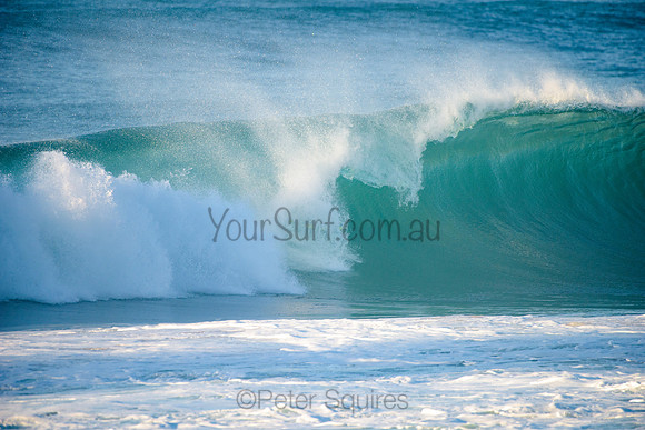 Avalon_210508_073623_0159