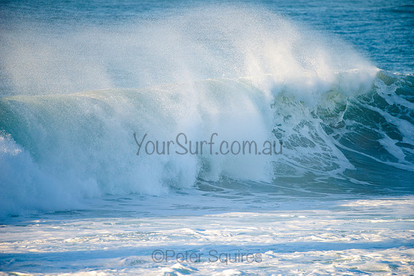 Avalon_210508_073724_0163