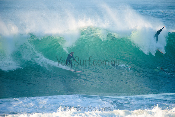 Avalon_210508_074111_0169