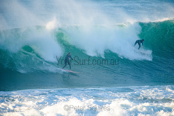 Avalon_210508_074111_0170