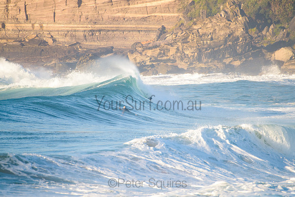 Avalon_210508_074249_0173