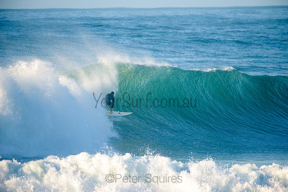 Avalon_210508_074610_0188