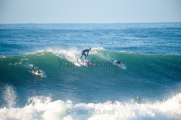 Avalon_210508_075124_0208