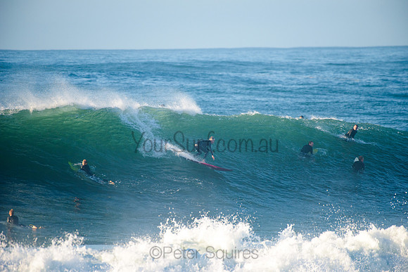 Avalon_210508_075125_0209