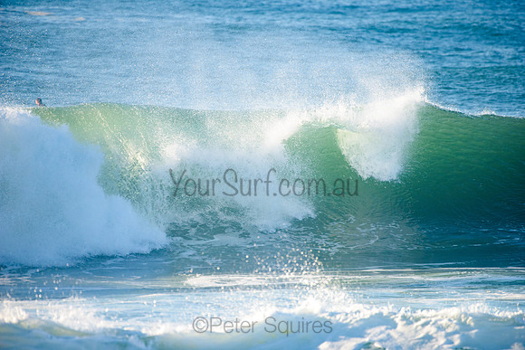 Avalon_210508_075331_0221