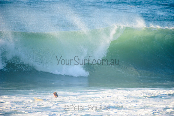 Avalon_210508_075503_0233