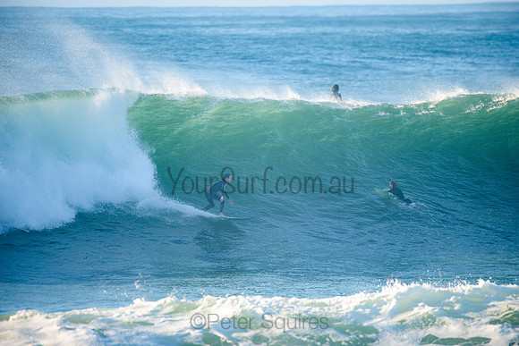 Avalon_210508_075845_0259
