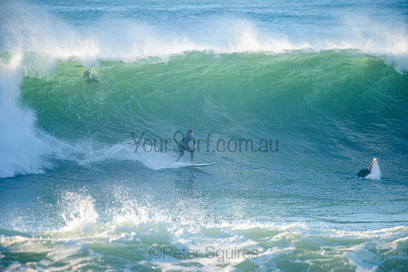 Avalon_210508_075846_0260
