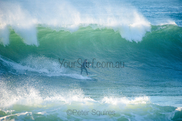 Avalon_210508_075847_0261