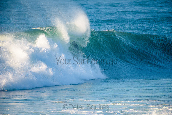 Avalon_210508_075852_0265