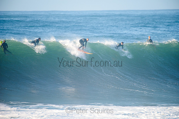 Avalon_210508_075858_0266