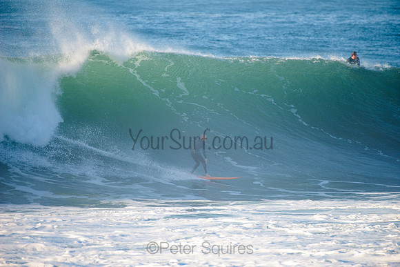 Avalon_210508_075901_0268