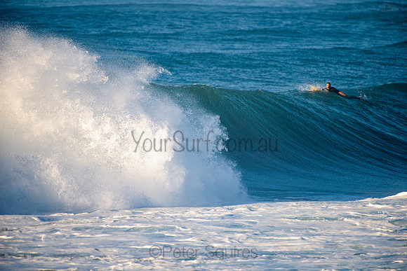 Avalon_210508_075905_0273