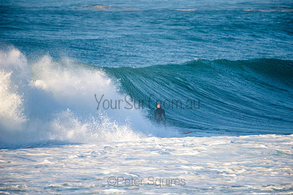 Avalon_210508_075906_0274