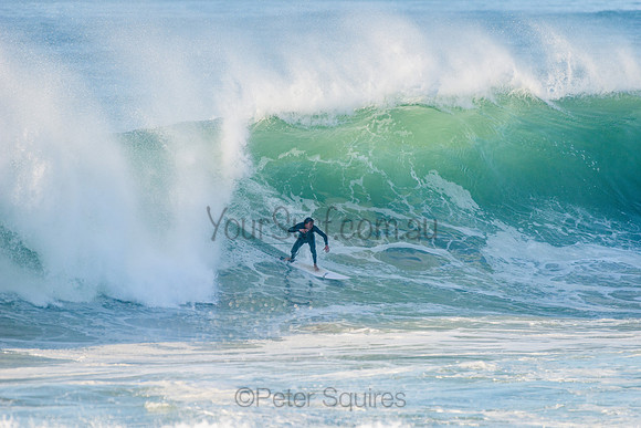 Avalon_210508_080114_0284