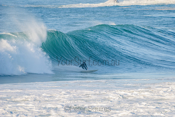Avalon_210508_080244_0291