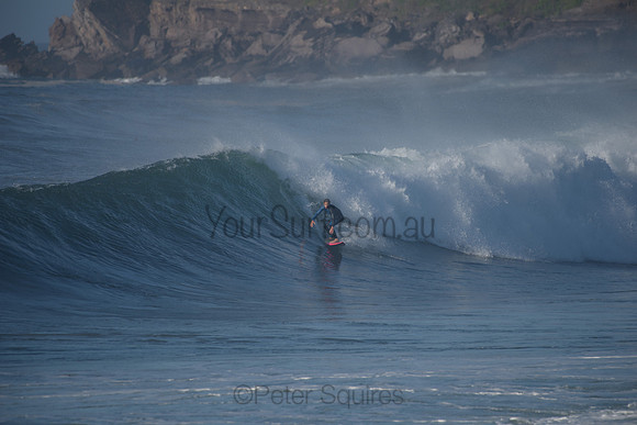 Avalon_210508_080810_0332