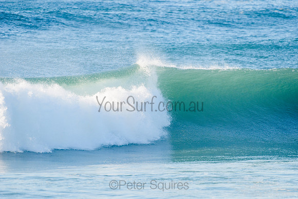 Avalon_210508_081051_0348