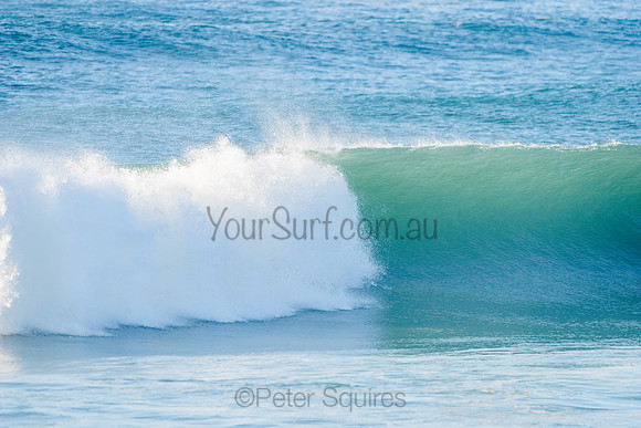 Avalon_210508_081051_0349