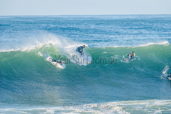 Avalon_210508_081228_0363