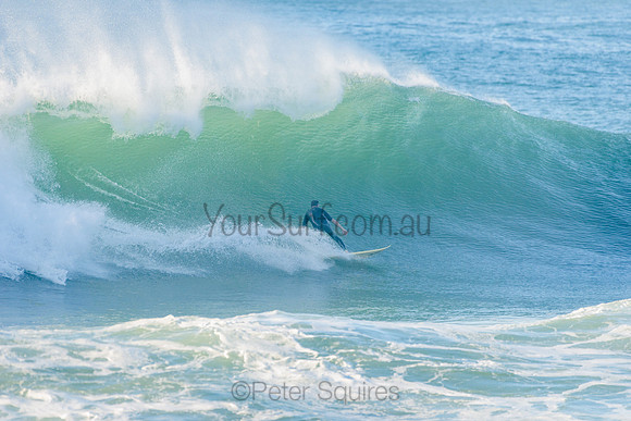 Avalon_210508_081231_0365