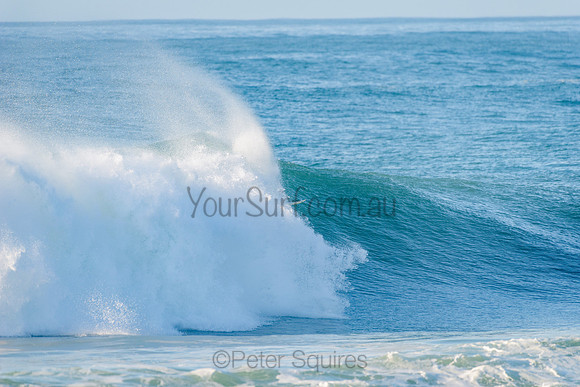 Avalon_210508_081232_0369