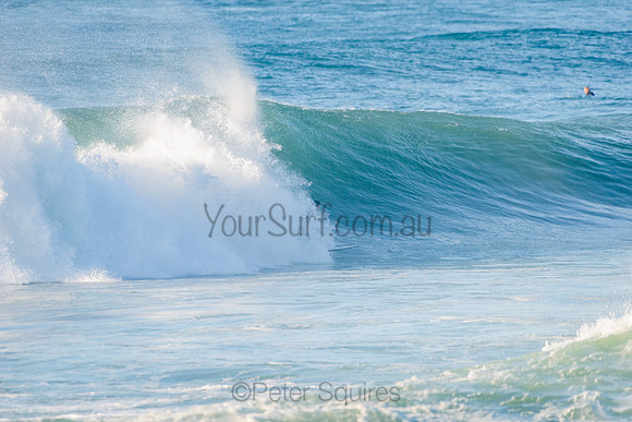 Avalon_210508_081549_0389