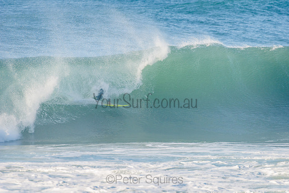 Avalon_210508_081610_0391