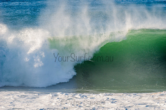 Avalon_210508_082344_0438