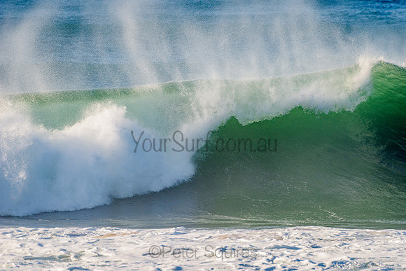 Avalon_210508_082345_0440
