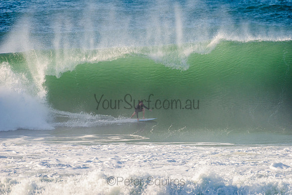 Avalon_210508_082356_0442